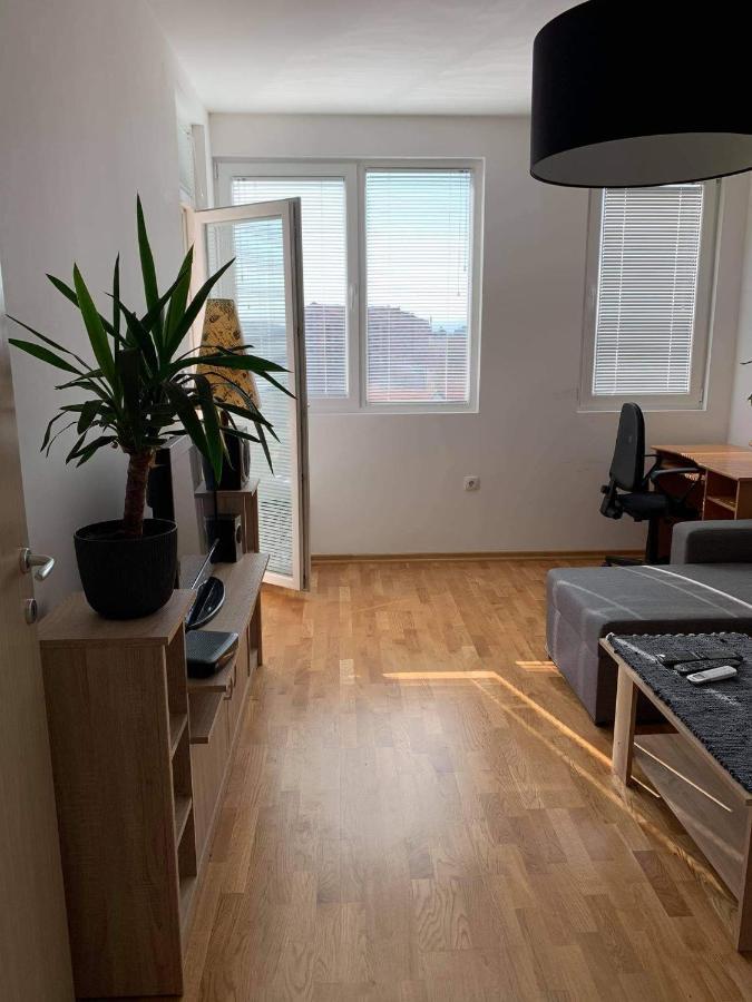 Apartman Aleksic Ni 외부 사진