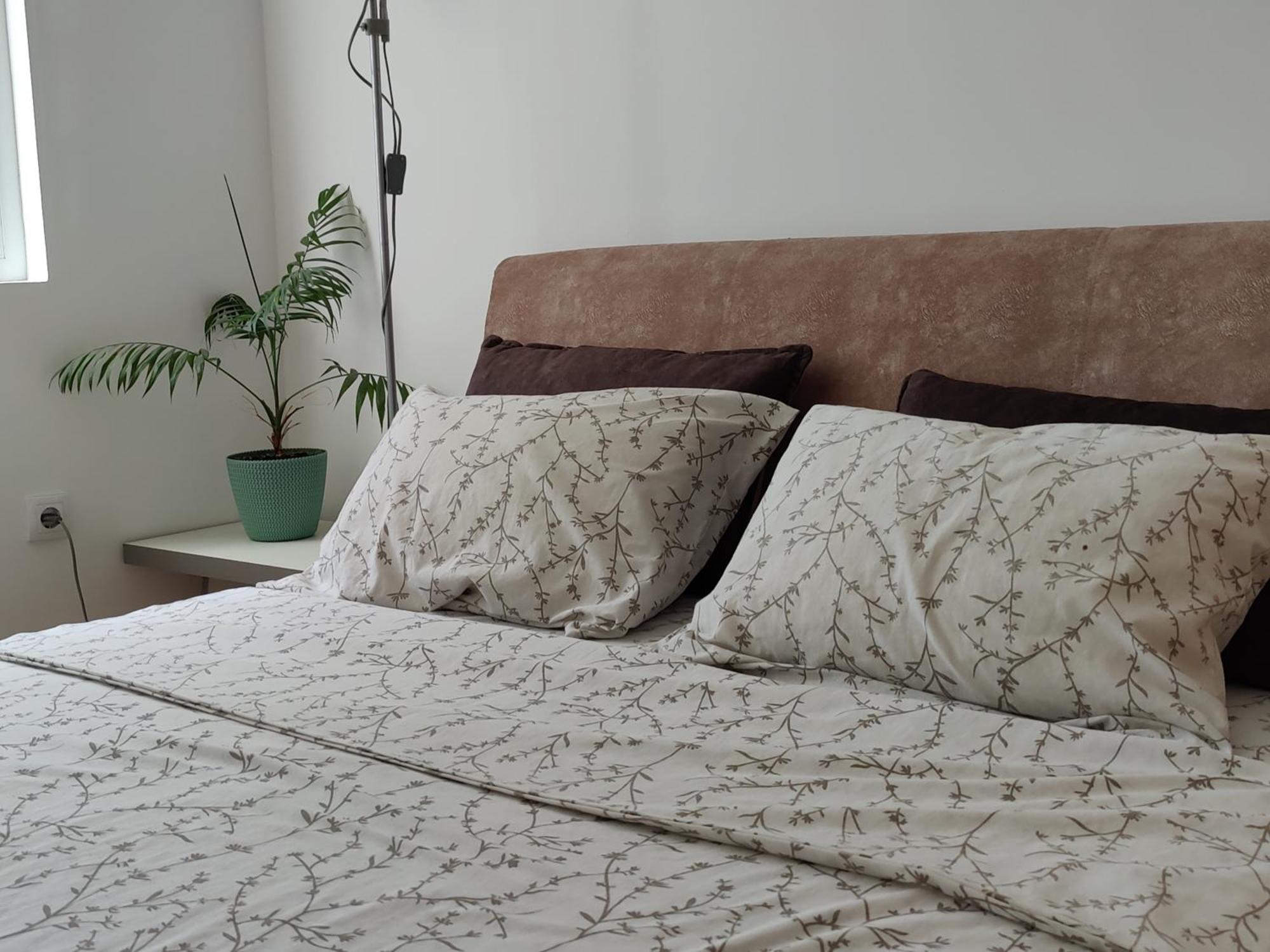 Apartman Aleksic Ni 외부 사진
